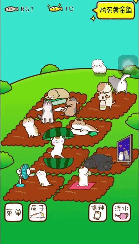 如何使用开云体育APP获得马术赛事的热门动态?