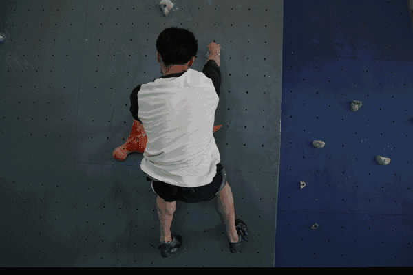开云体育app动态:AG真人游戏的实时数据如何影响投注?,ag真人先开牌再有视频