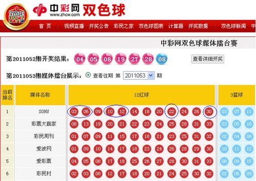 开云体育官网多样化语言支持与本地化服务介绍,覆盖全球彩票平台玩家