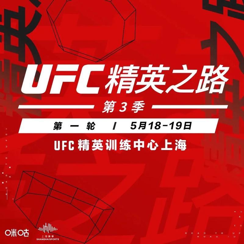 「开云体育app报道UFC夏季训练营:来自世界各地的选手汇聚,交流技术与实战心得」