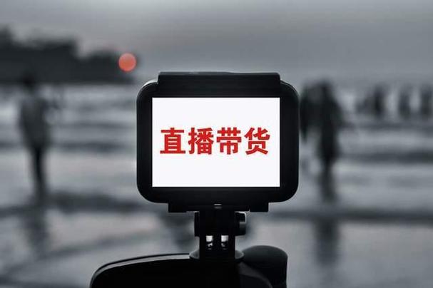 “一线战队的直播生态：开云体育官网点破赛季训练与选手带货直播并行时的规划与收益”